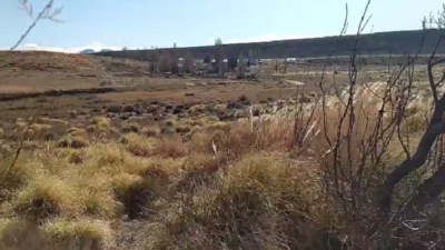 Aseguran que la cría de truchas podría ser un nuevo «polo productivo» en Aldea Sepaucal