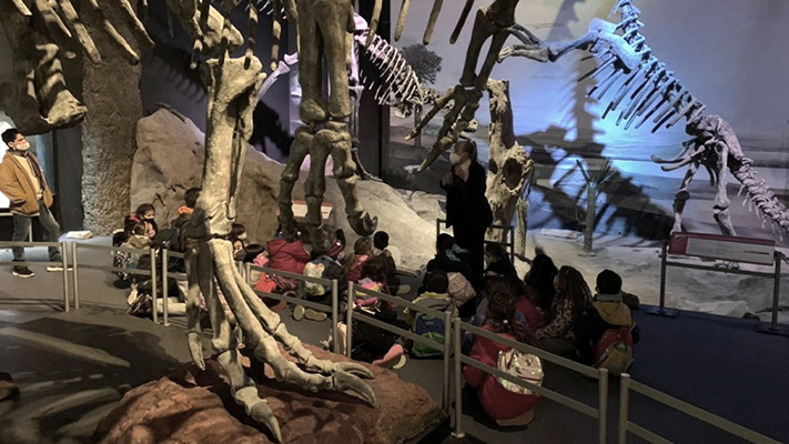 El museo Egidio Feruglio lleva “Dinosaurios de la Patagonia” a Brasil