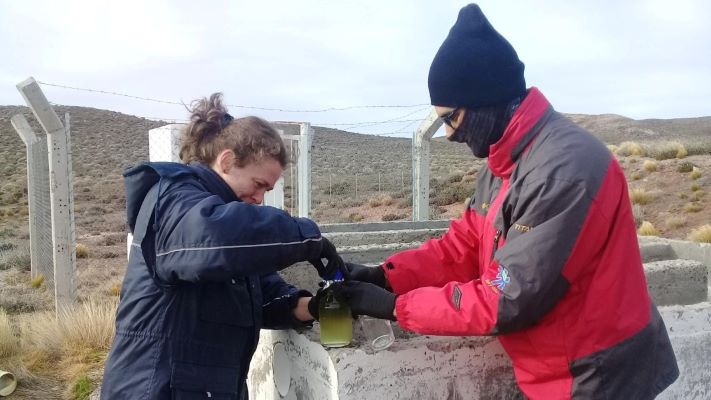 Detectan irregularidades en el manejo de efluentes en pesqueras de Madryn