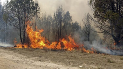 calilegua, Ecología, incendio forestal, jujuy, Parque Nacional