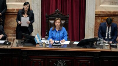 Cámara de Diputados, cecilia moreau, intento de magnicidio