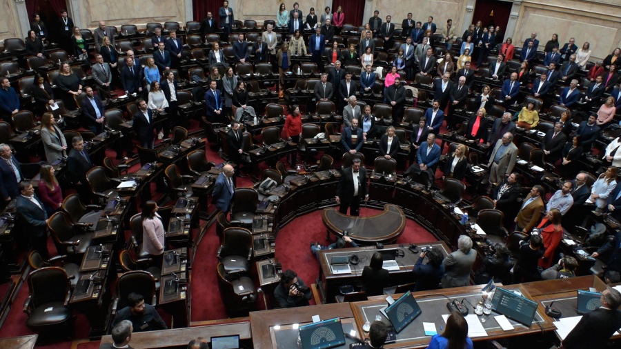 Diputados votó por unanimidad el repudio al atentado contra la Vicepresidenta