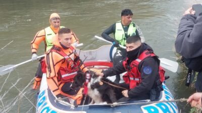 desaparecido, El Maitén, JOSÉ CRETTÓN, rastrillaje