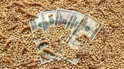 argentina, dólar soja, economia, Recesión