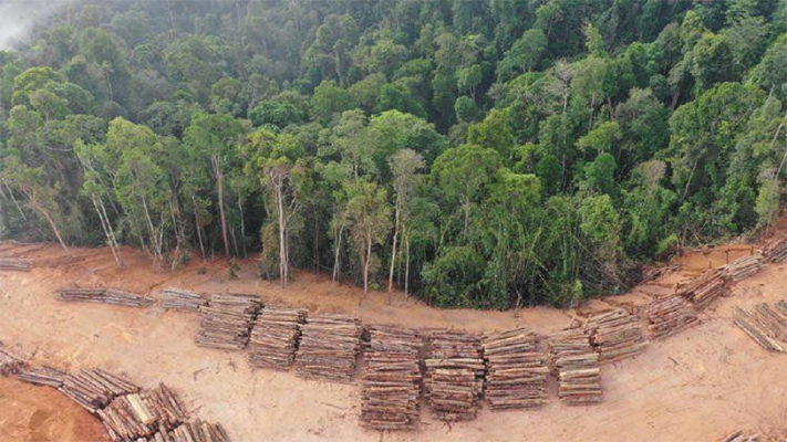 Pueblos originarios reclaman proteger la cuenca amazónica
