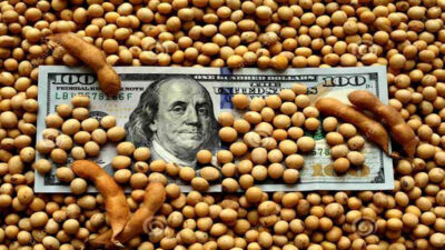 cerealeras, dólar soja