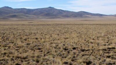 Ambiente, humedales, Río Negro