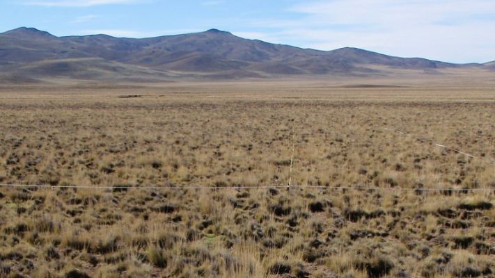 Recuperan mallines degradados en la Patagonia
