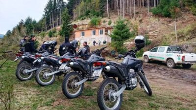 Detectaron una nueva tala ilegal de bosque en Lago Puelo