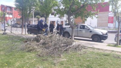 Ambiente, TRELEW