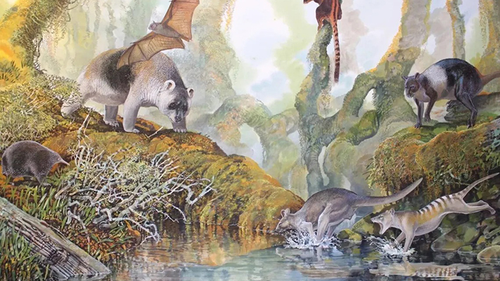 Canguro gigante habría vivido en Nueva Guinea hace 20.000 años