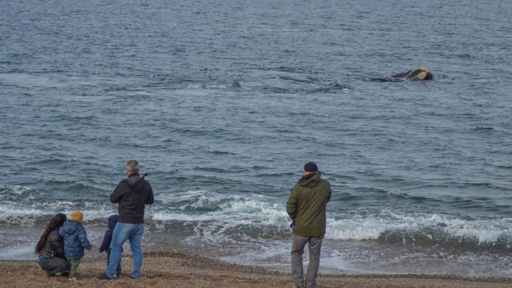 Gran expectativa turística por las vacaciones de invierno