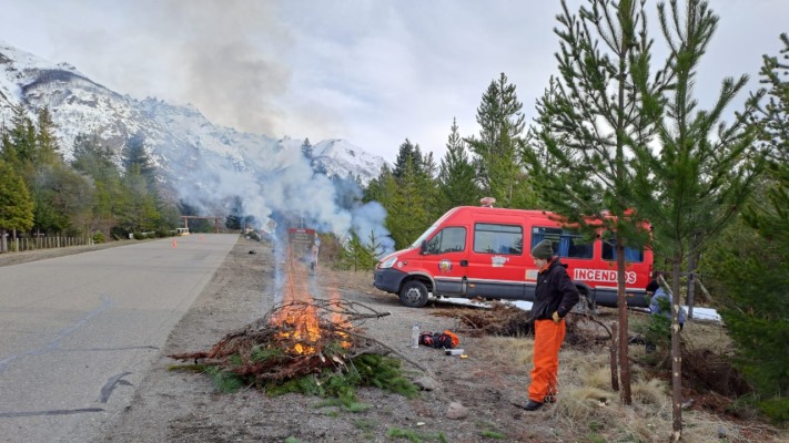 Diseñan estrategia para reducir material combustible en áreas de interfase en cordillera