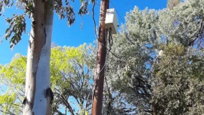 Se repiten los robos de cables en Rawson