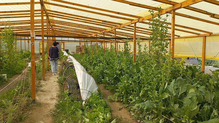 Habrá una feria agroecológica en el CEGEBA 2 de Madryn