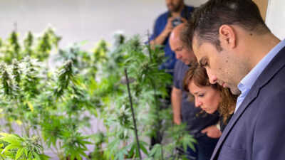 cannabis medicinal, Cenpat, producción, salud