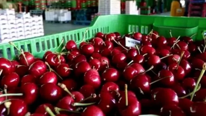 Las cerezas de Gaiman ya ingresaron en el mercado brasileño