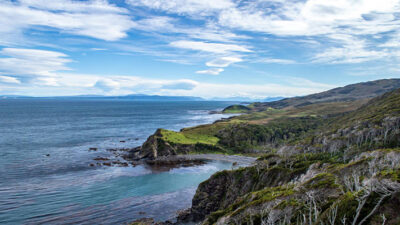 carbono, ley, parques nacionales, Tierra del Fuego