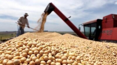agro, dólar soja, Ministerio de Economía