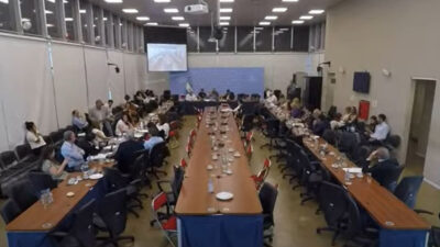 brigadistas, diputados, incendios, RÉGIMEN PREVISIONAL