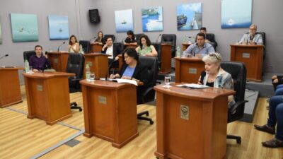 Concejo, ediles, licencias, Patricia Raies, puerto madryn, reproducción médicamente asistida