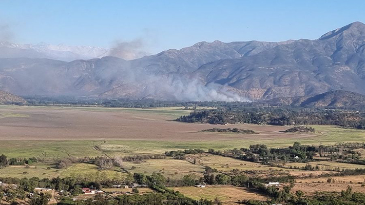 Declaran alerta por incendios forestales en regiones de Chile