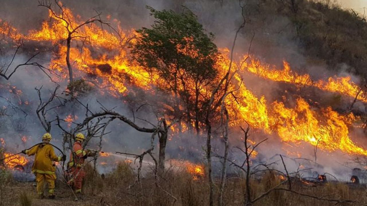 Suman 1000 focos activos los incendios forestales en Salta