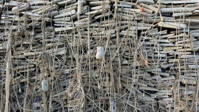 ¿A dónde van a parar todos nuestros celulares viejos?