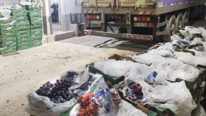Decomisaron 1400 kilos de uvas que ingresaban irregularmente a la Patagonia
