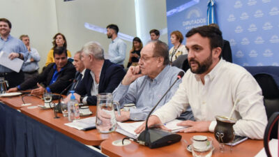 Cámara de Diputados, ley de humedales, PLENARIO DE COMISIONES