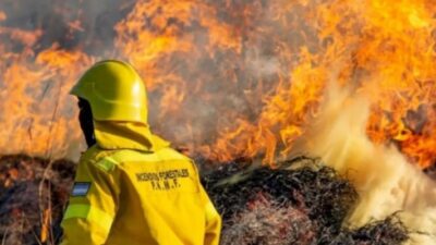 Etiquetas: Confederaciones Rurales Argentinas, incendio, incendio en tierra del fuego, productores