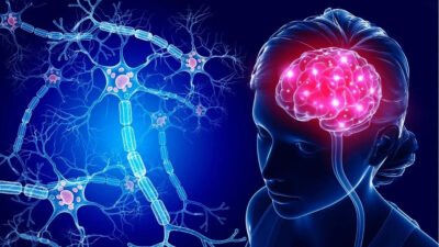 alzheimer, CIENCIA, descubrimiento científico