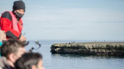 Año Nuevo, Áreas Naturales Protegidas, HORARIOS