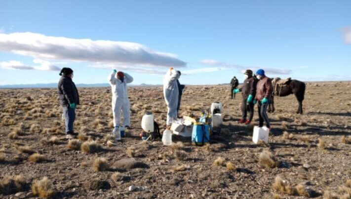 Capacitaciones y plan de trabajo sobre control de tucuras