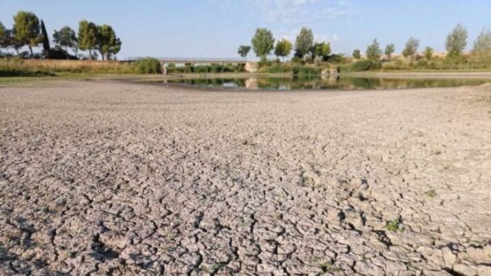 Piden declarar la emergencia agropecuaria en 3 provincias patagónicas