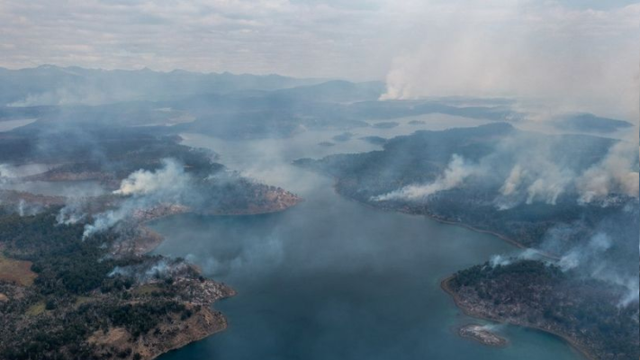 Más de 8.000 hectáreas arrasadas por las llamas