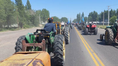 Alto Valle, CRISIS FRUTÍCOLA, Neuquén, PRODUCTORES FRUTÍCOLAS, Río Negro