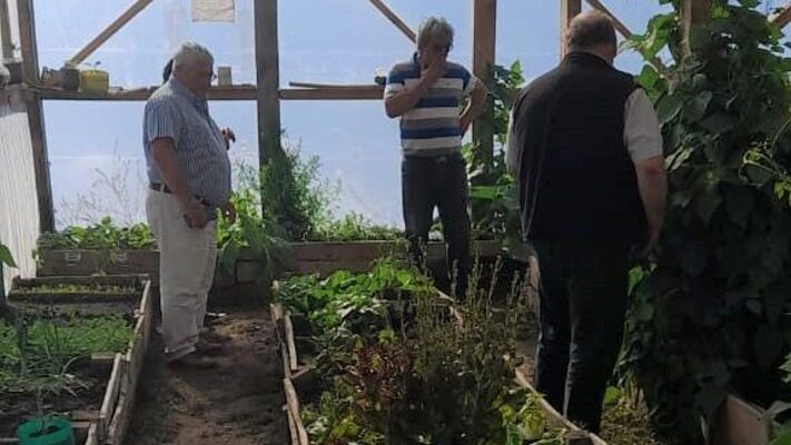 huerta, ricardo rojas, VERDURAS