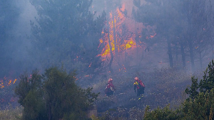 Seis provincias mantienen focos activos de incendios forestales
