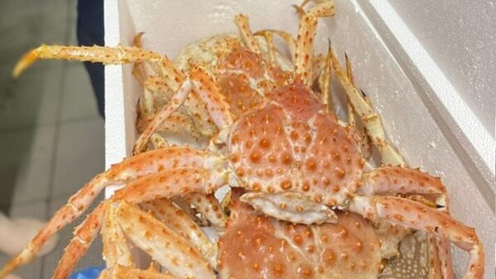 Etiquetas: CENTOLLA, economia, Estados Unidos, Exportación, Santa Cruz