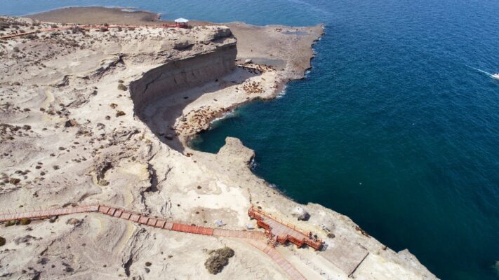 En el 2022 hubo récord de visitas en Península Valdés y Punta Loma