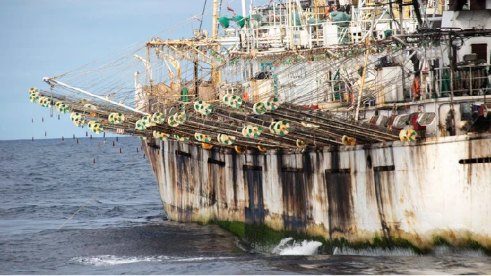 Pesqueros chinos apagan sistemas de rastreo para depredar en aguas argentinas