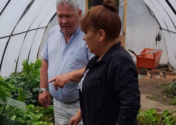 Ampliación de producción de verduras bajo cubierta en Lago Blanco