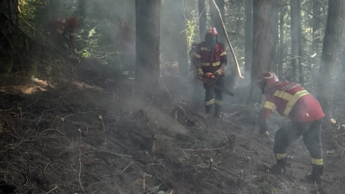 Lograron contener el incendio en El Hoyo