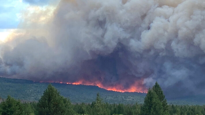 Incendios costarían al país entre USD1.100 y 3.700 millones por año