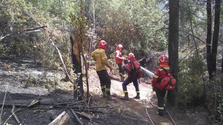 Circunscriben incendios de Los Cipreses y el Parque Nacional “Los Alerces”