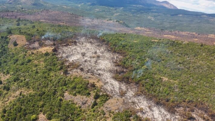 chubut, incendio, incendio forestal, los alerces, Parque Nacional, servicio provincial de manejo del fuego