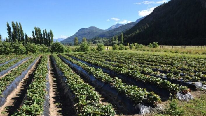 Gobierno del Chubut, SECTOR PRODUCTIVO, SISTEMA INFORMATICO DE CREDITOS