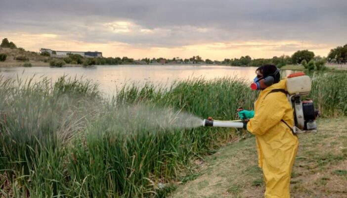 espacios públicos, FUMIGACION, Laguna Chiquichano, TRELEW