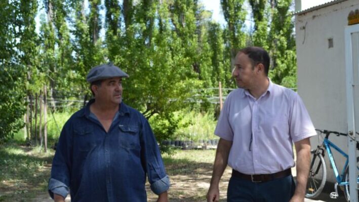 Dolavon, PRODUCCION DE ESPECIES FORESTALES, riego